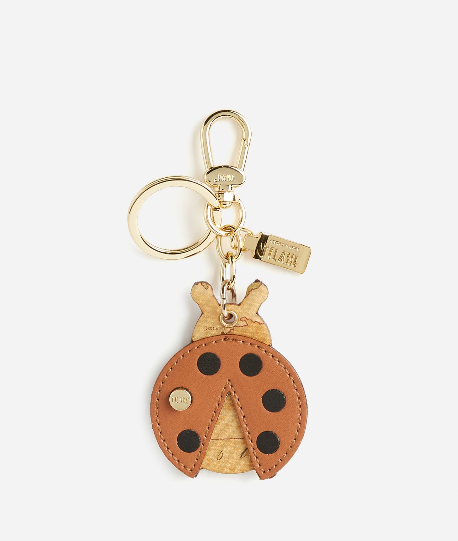Geo Classic ladybug-shaped keychain,front