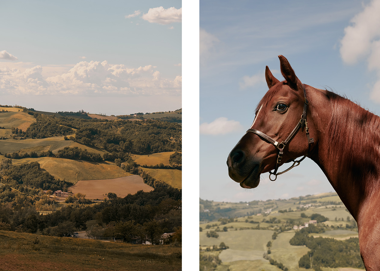 campagna